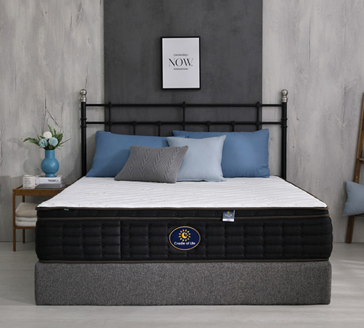 經典福爾摩沙F7(強力支撐款)