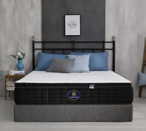 經典福爾摩沙F7(強力支撐款)