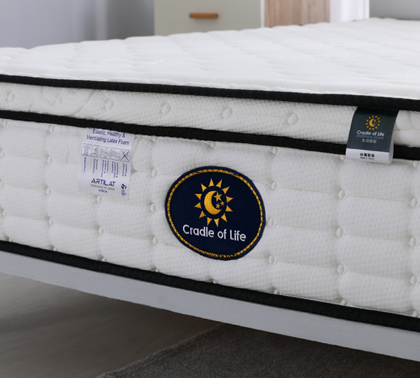 經典福爾摩沙F5(基本款)