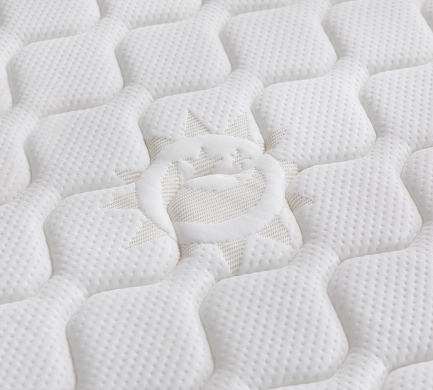 經典福爾摩沙 F4 ( 超值款 )