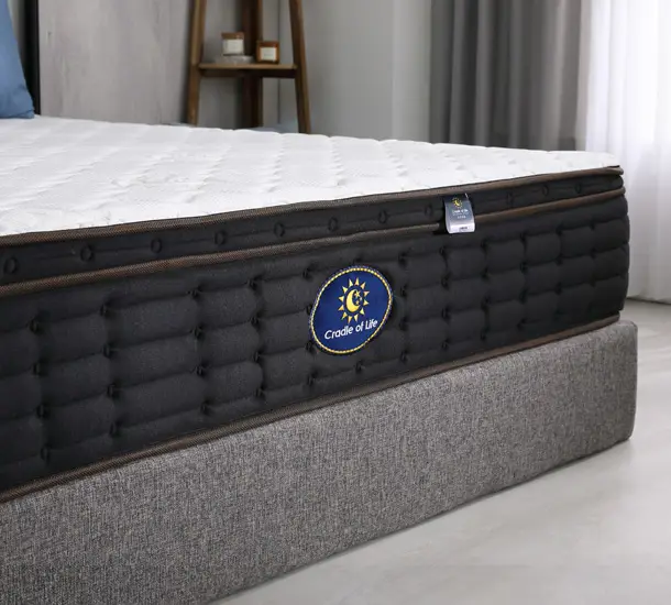 經典福爾摩沙 F4 ( 超值款 )